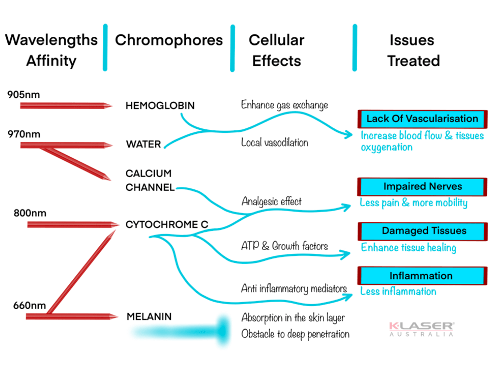 Step-1 - Laser Therapy Mechanism