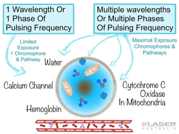 Step 2 - Chromophores Pathways 2